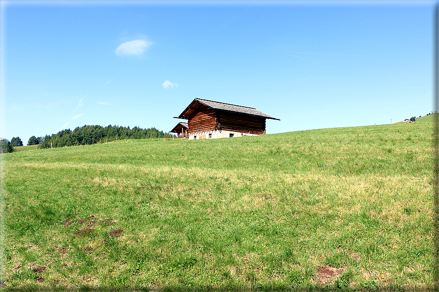 foto Alpe di Siusi